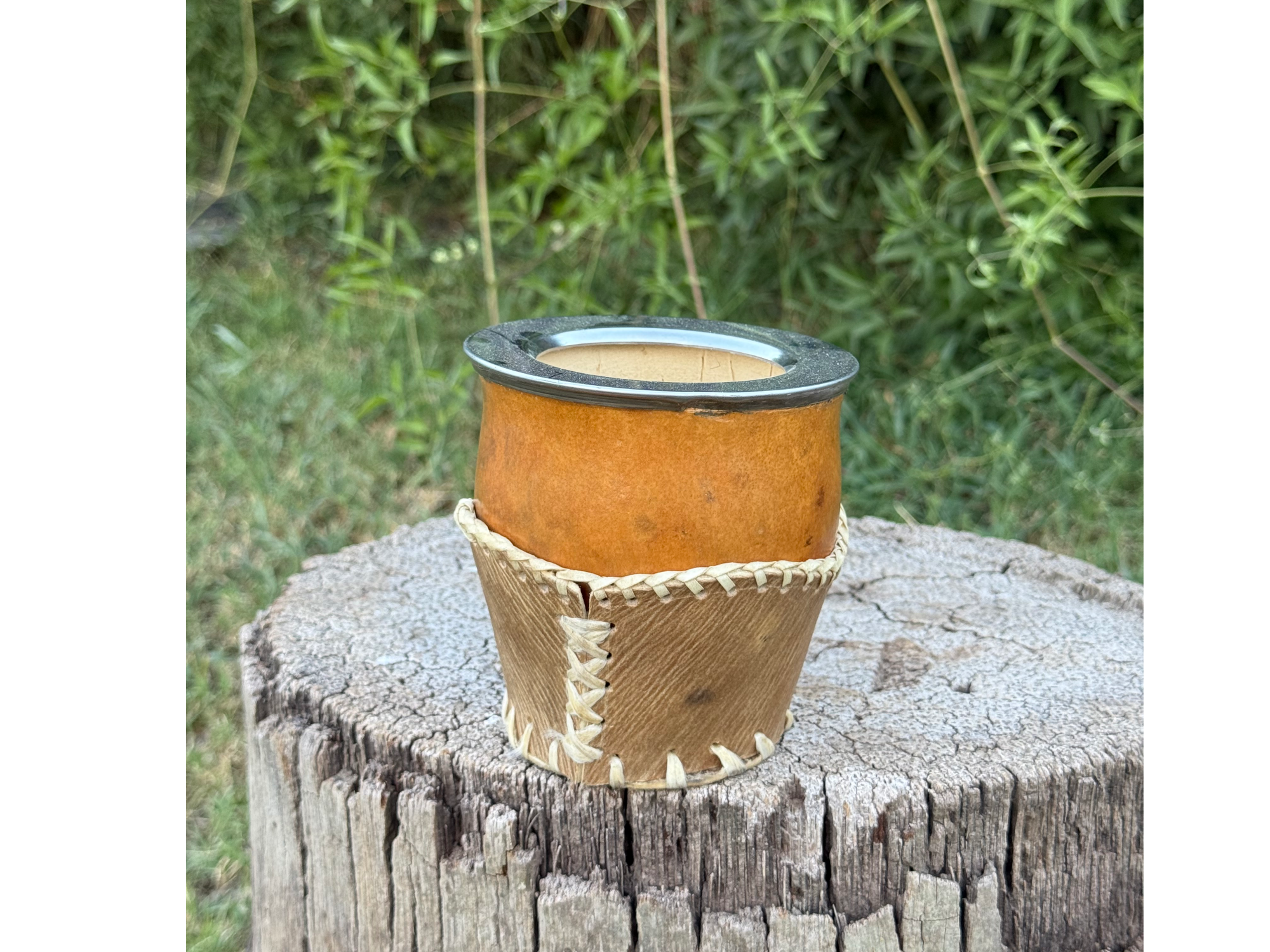 Camionero Criollo Premium