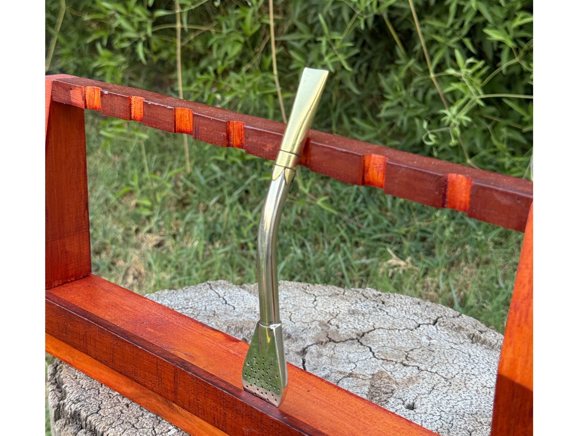 Bombillón Pico de Rey