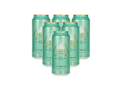 Sixpack Andes Ipa 473cc