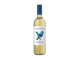 Cantus Chenin Dulce 750ml