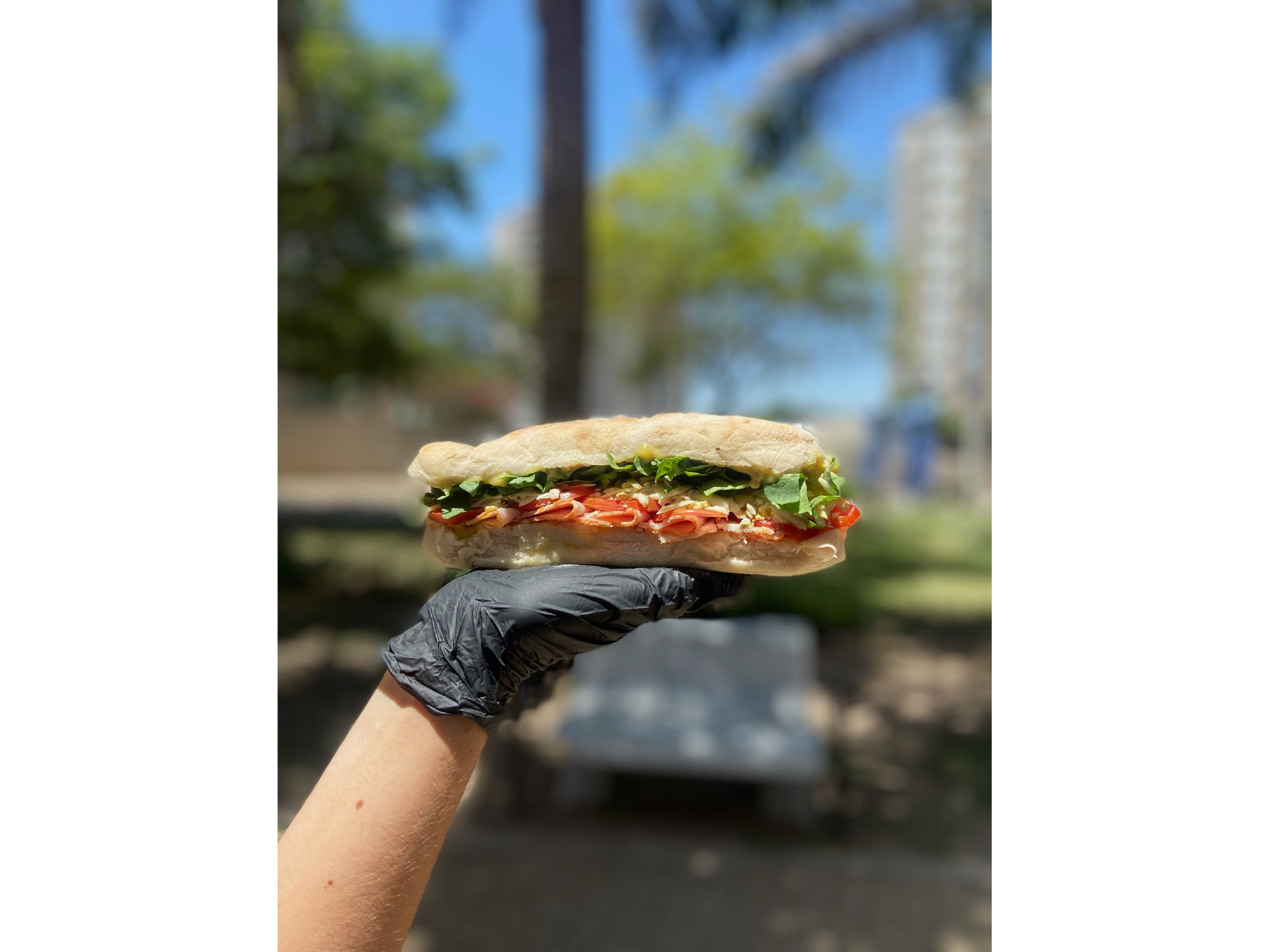 2 ciabattas + gaseosa de 1,5 lts + 1 papas snacks