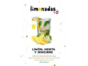LIMONADA 1- LIMON MENTA Y JENGIBRE de EasyFrut gastro