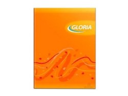 CUADERNO GLORIA TAPA BLANDA x96h