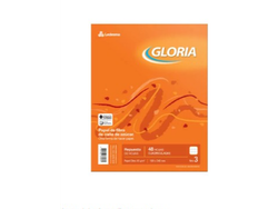 REPUESTO 48 HOJAS RAYADAS GLORIA