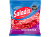 SALADIX CALABRESA