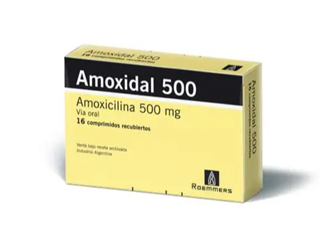 AMOXIDAL X500