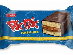 PICNIC X40