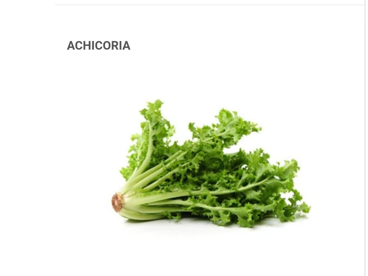 ACHICORIA