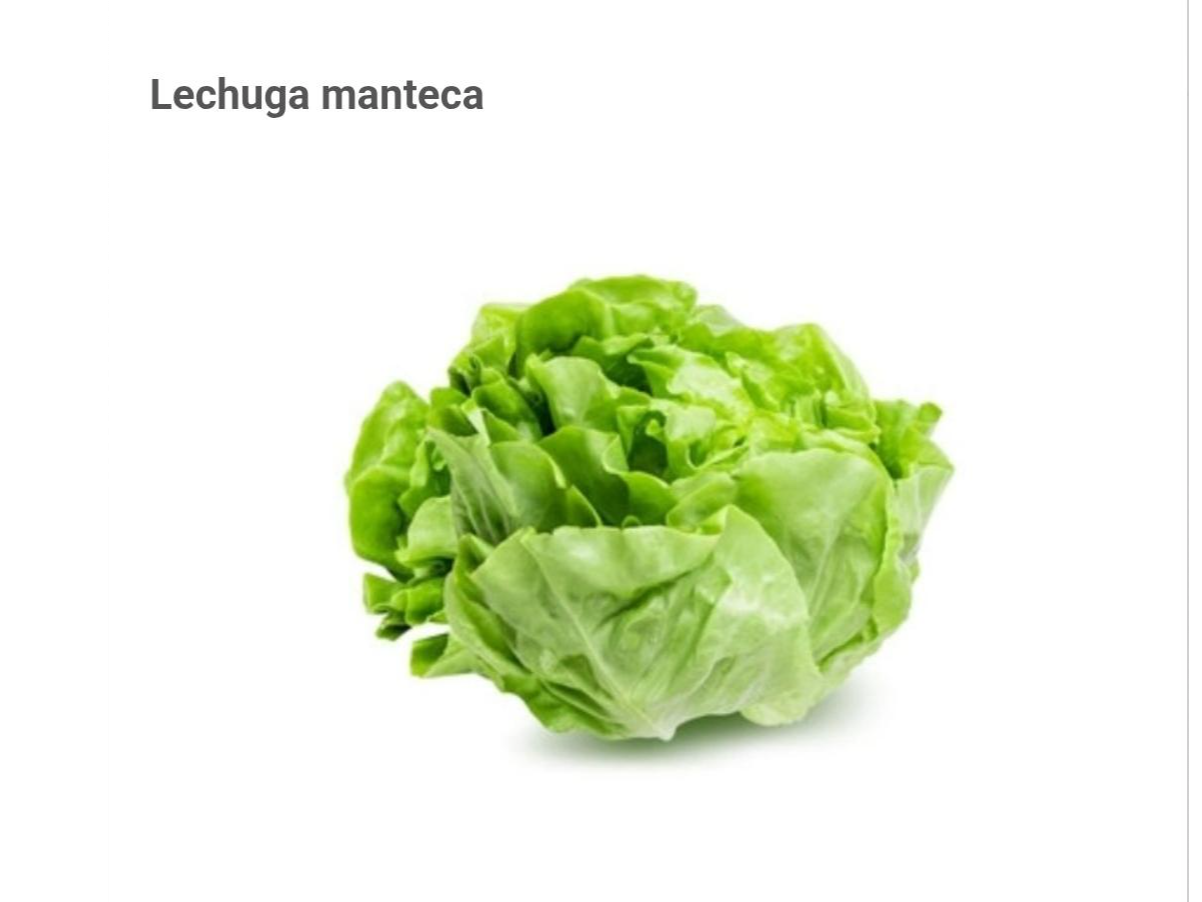 LECHUGA MANTECA