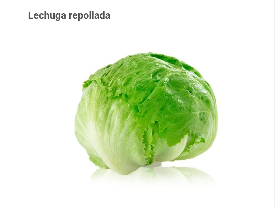 LECHUGA REPOLLADA