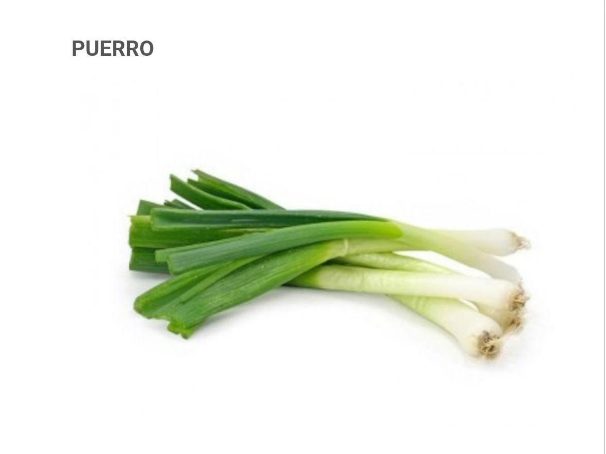 PUERRO