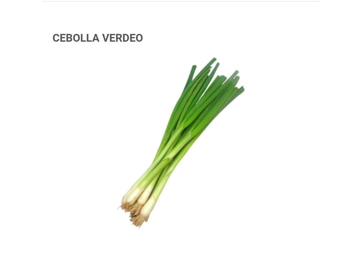 CEBOLLA DE VERDEO