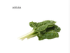 ACELGA