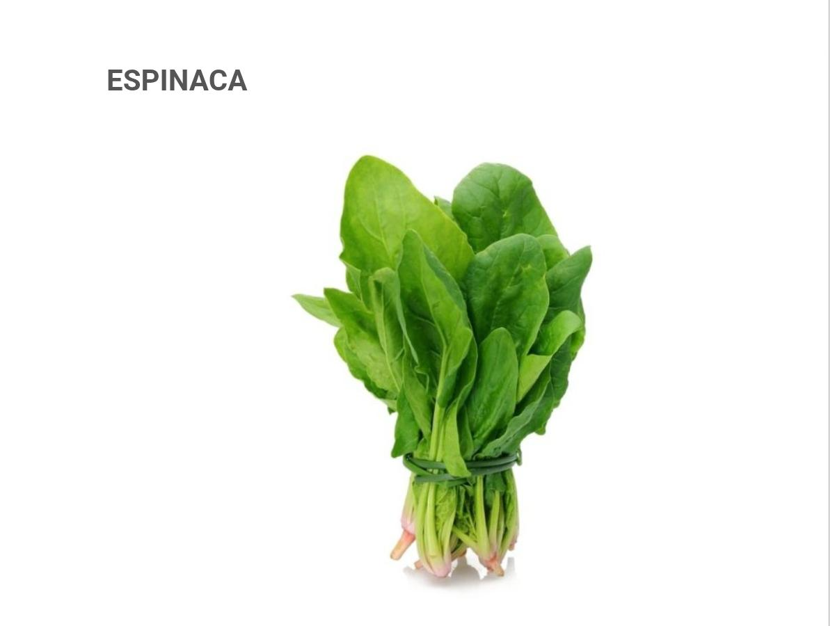 ESPINACA