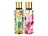 LINEA NATURAL SPIRIT