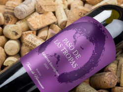 Paso de las Tropas Cabernet