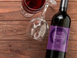 Paso de las Tropas Malbec