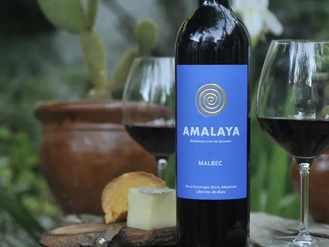 Amalaya Malbec