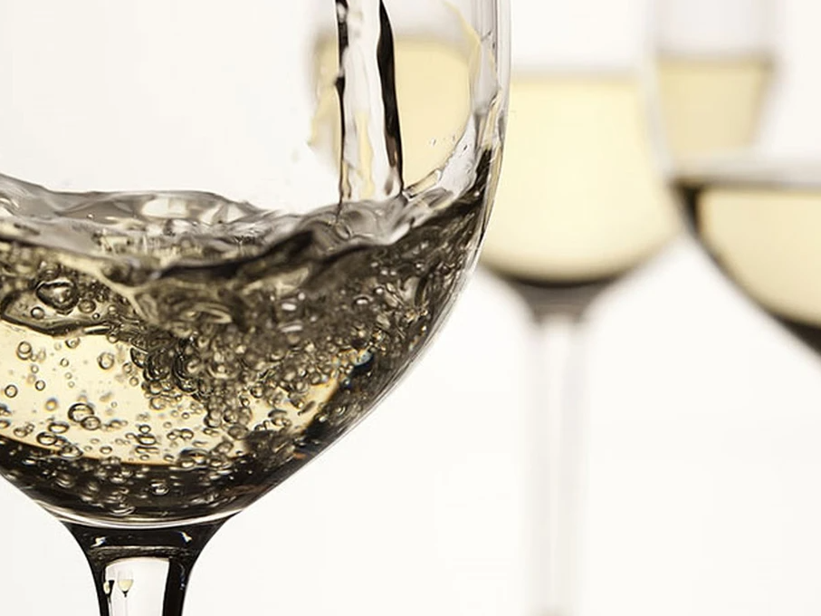 Tomero Sauvignon Blanc