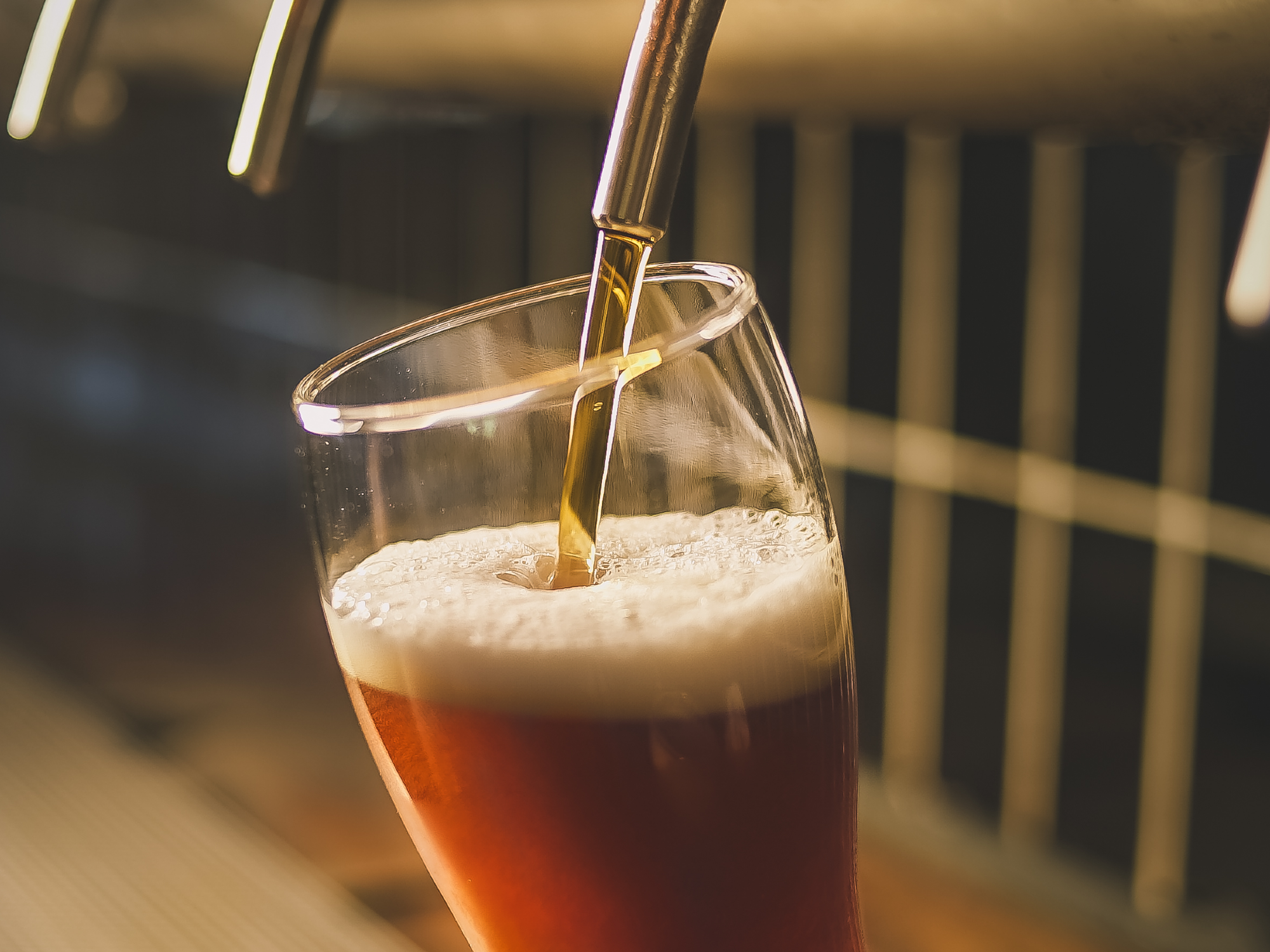 Cerveza Tirada IPA 500 ml