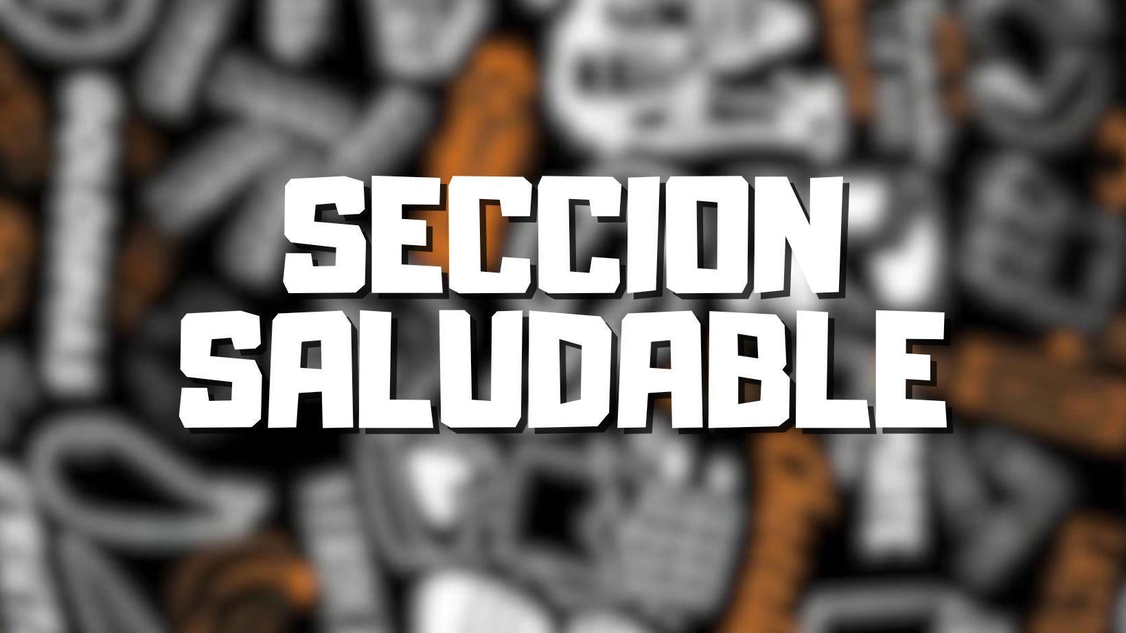 Seccion Saludable