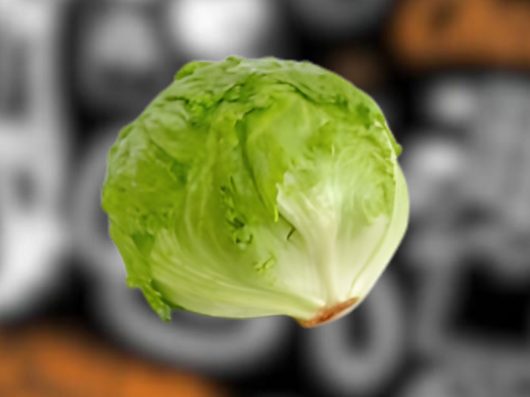Lechuga Repollada