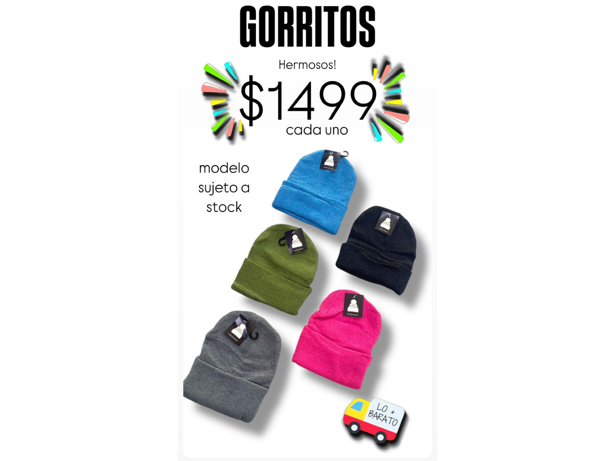 GORRITOS POLARES