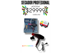 SECADOR PROFESIONAL