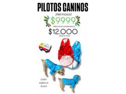 PILOTOS CANINOS