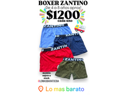 BOXER ZANTINO
