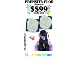 PRENSITA FLOR