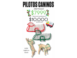 PILOTOS CANINOS