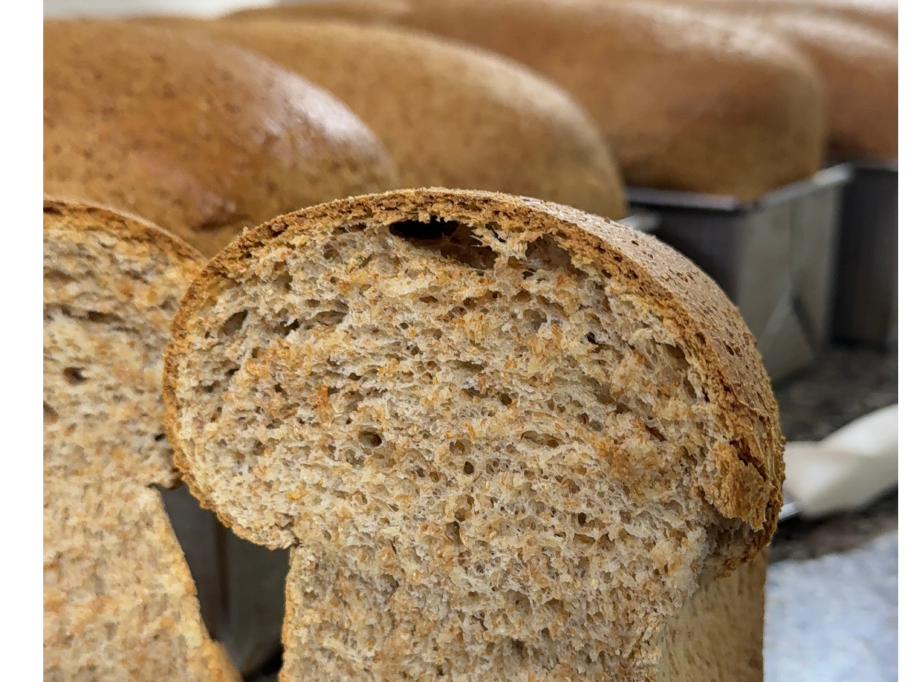 PAN DE MOLDE DE SALVADO