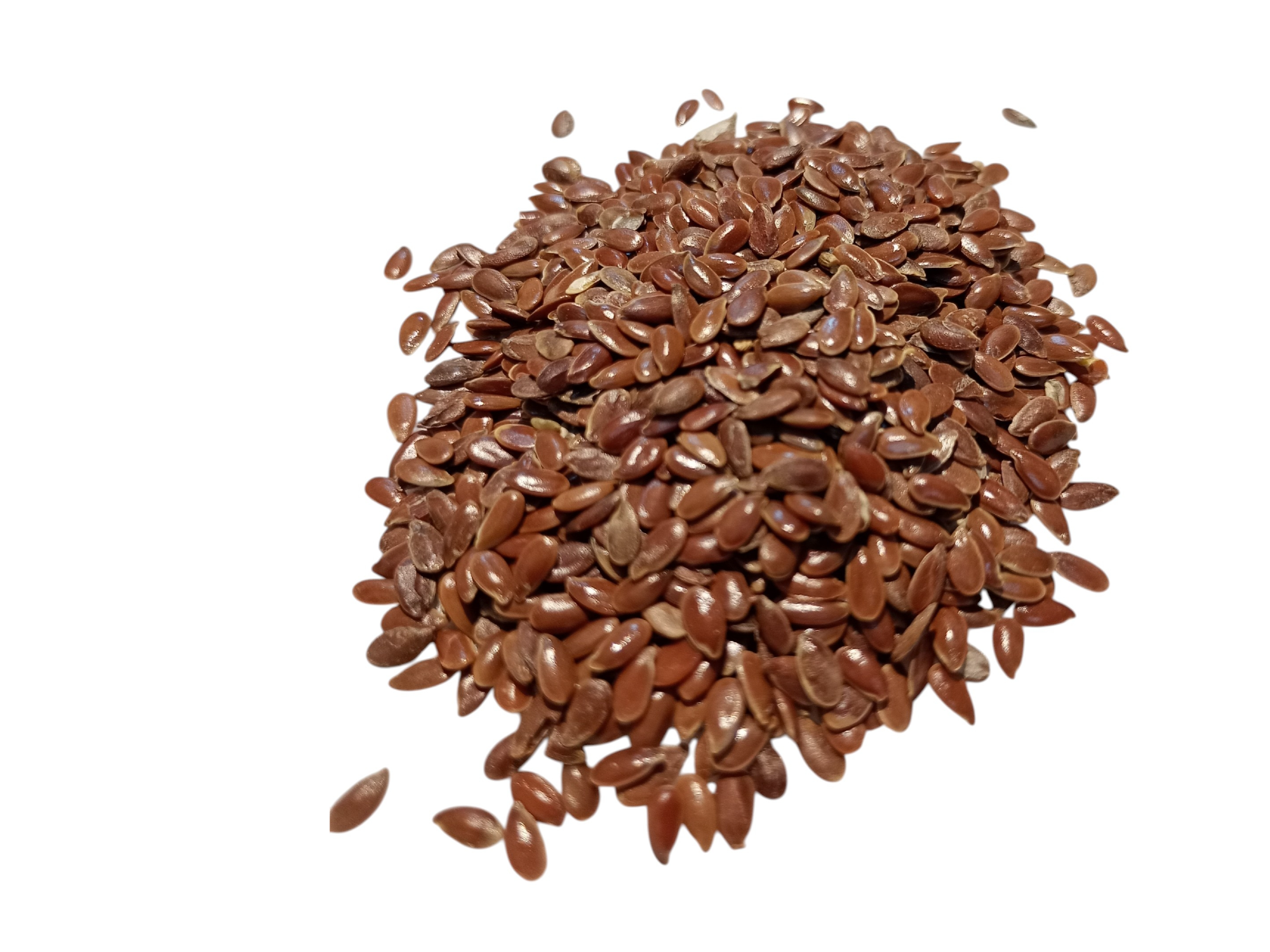 Semilla de Lino x100gr