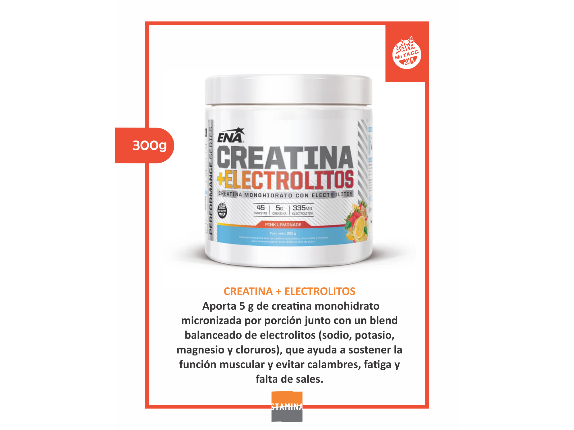 CREATINA ENA + ELECTROLITOS 300GR