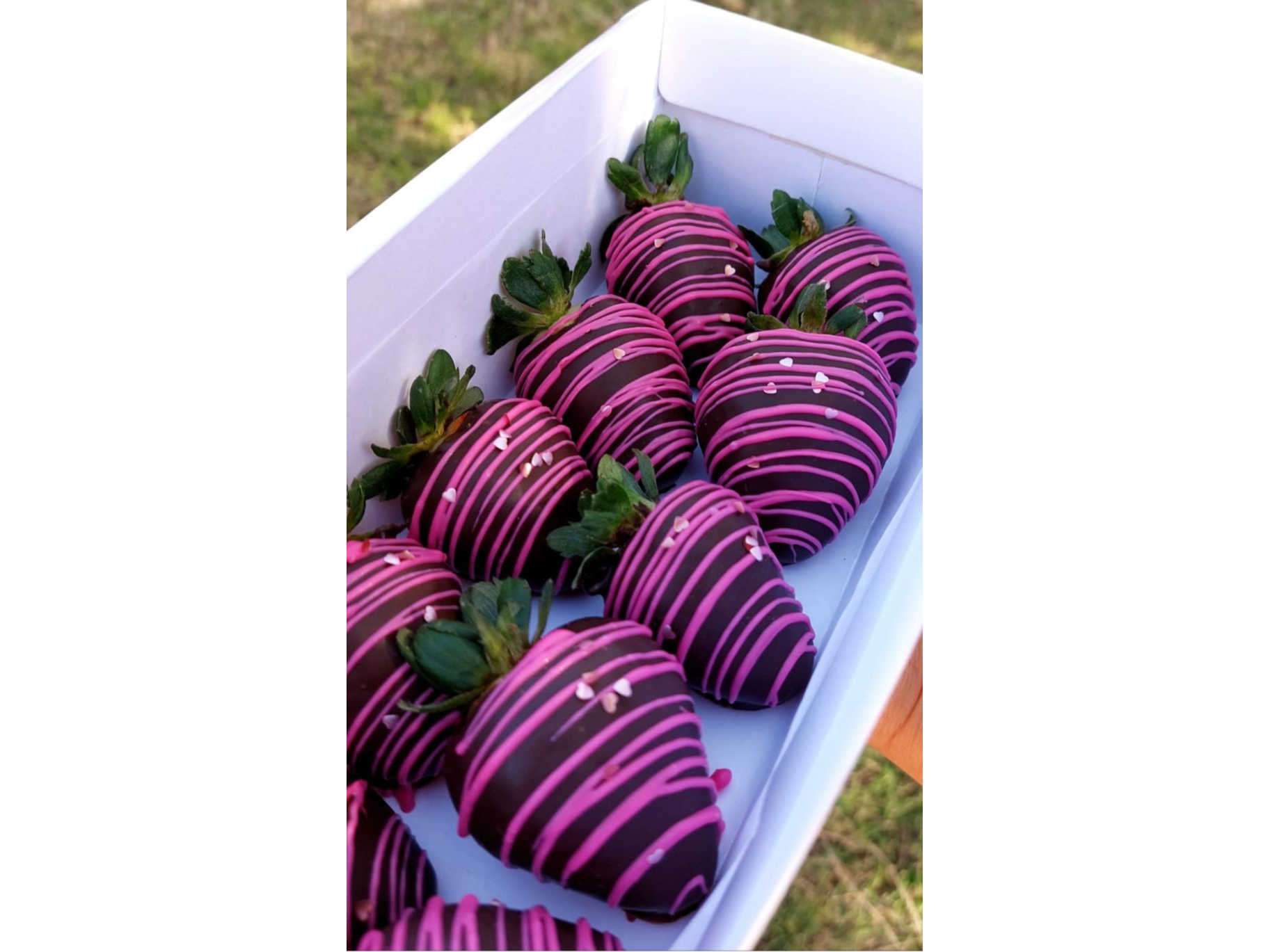 Frutillas Bañadas en Chocolate