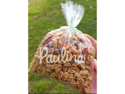 Granola Premium x100 gr