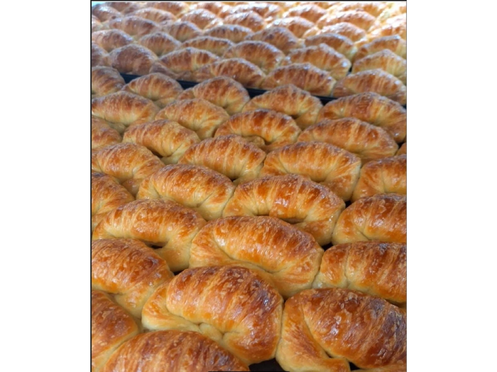 Medialunas por docena