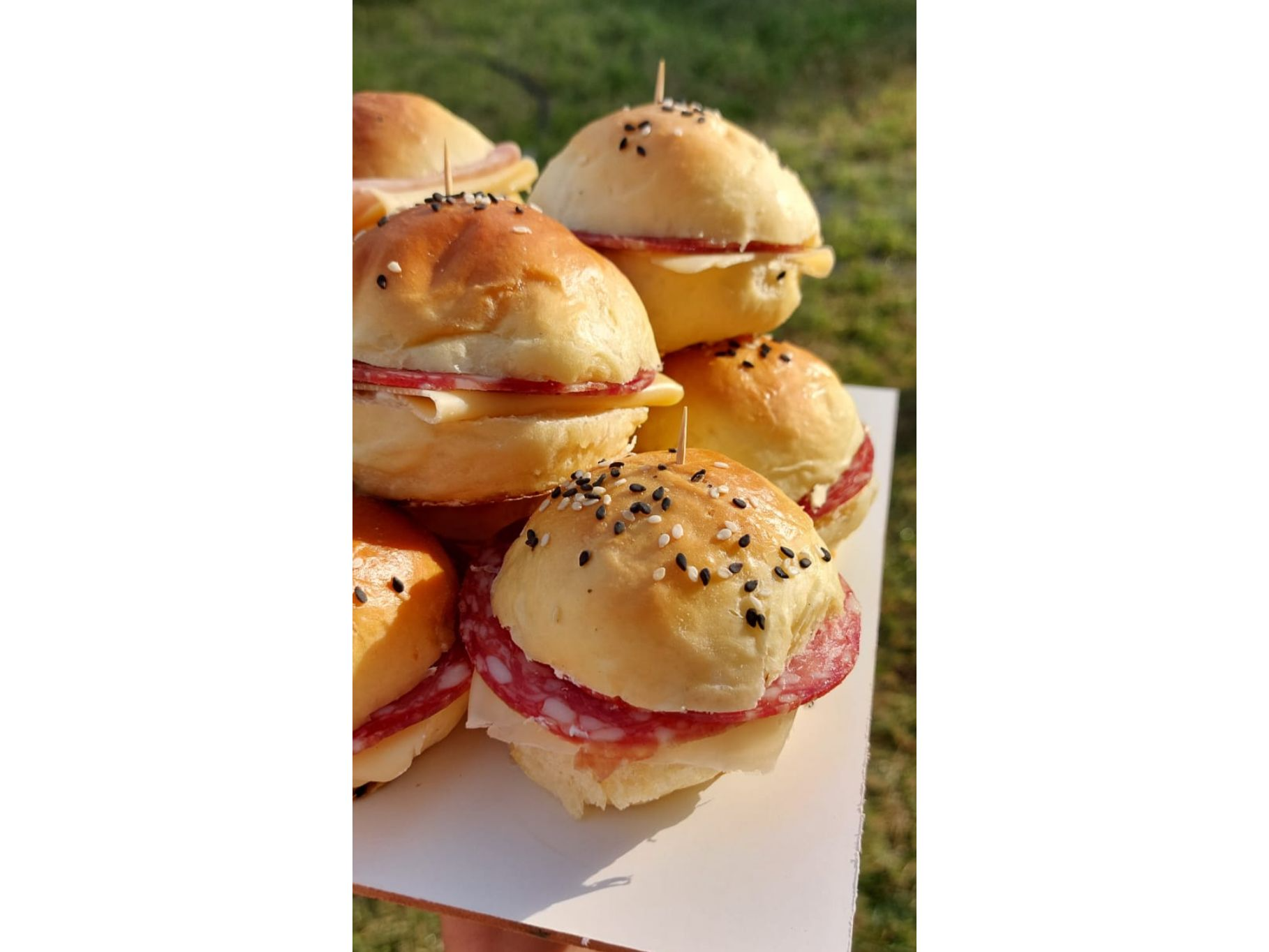 Chips de Salame y Queso