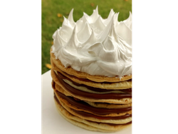 Rogel