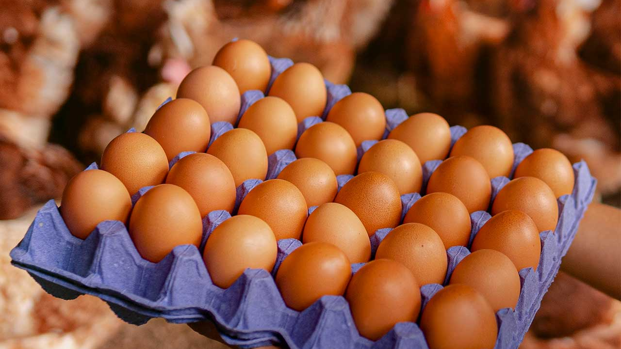 HUEVOS