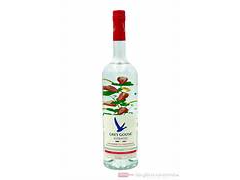 GREYGOOSE STRAWBERRY Y LEMON GRASS 1lt