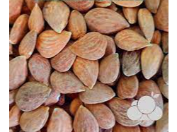 Almendras  Guará