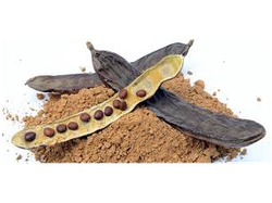 Harina de Algarroba