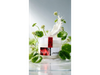 Crema Corporal Anticelulítica 250g