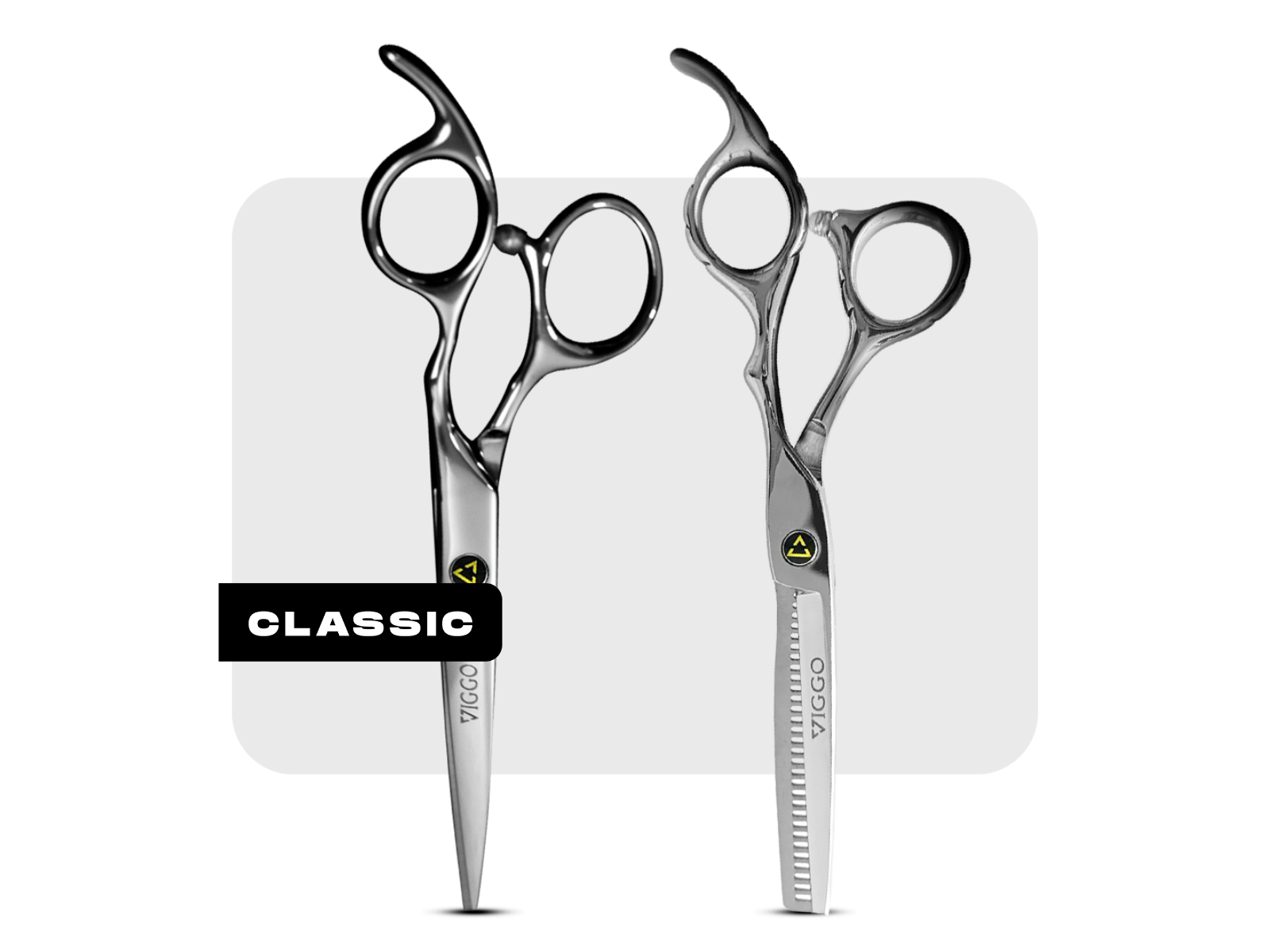 COMBO TIJERAS 6" VIGGO  PLATINUM EDITION