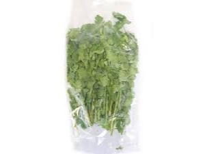 CILANTRO X UN.