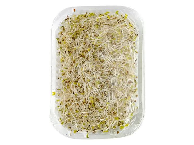 BROTES ALFALFA X UN. de Maracuya