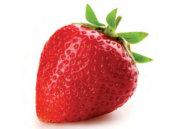 FRUTILLA X 100 GRS.