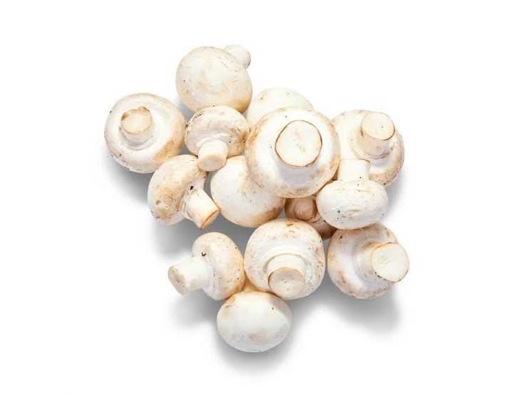 CHAMPIGNON X 100 GRS.